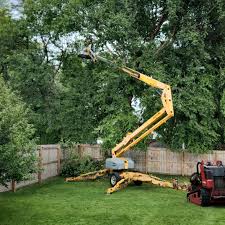 Best Tree Health Inspection  in York, AL